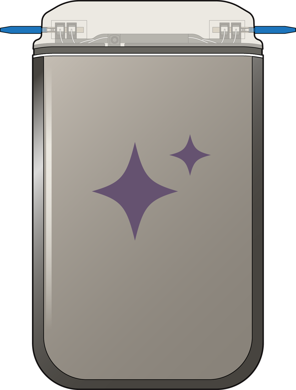 Power Module